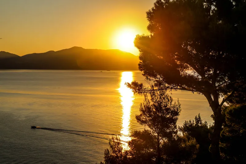 Sunset over the sea through the pines