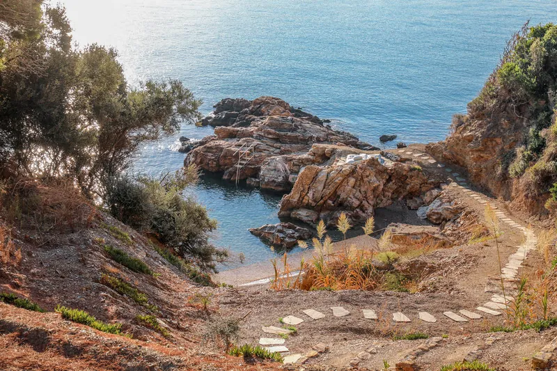 The path down to the cove through the pines